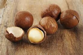 Macadamia nut