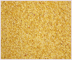 Chili Seed