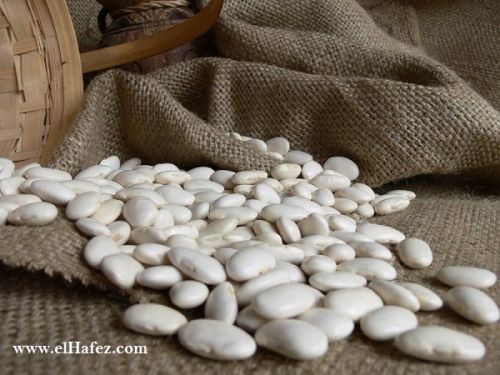 White kidney beans, Packaging Size : 25