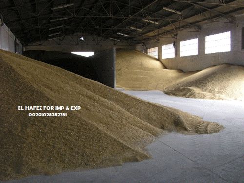Yellow Corn Animal Feed, Packaging Type : 25 Kg