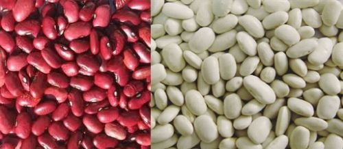 Kidney beans, Packaging Type : Jute Bag