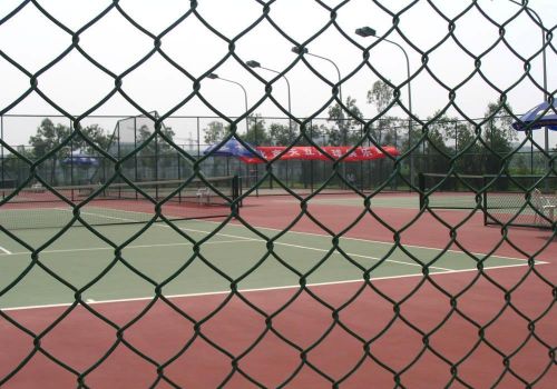 Iron wire PVC Coated Chain Link Fence