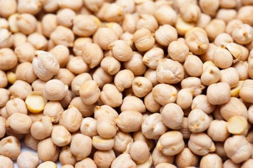 White chickpeas, Shelf Life : 1 Year
