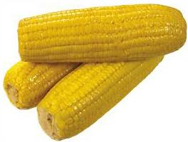 Yellow corn, Seed Type : Hybrid