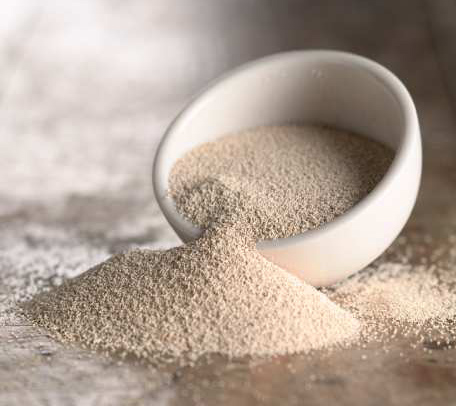 Dried Yeast