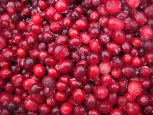 Fresh Cranberry