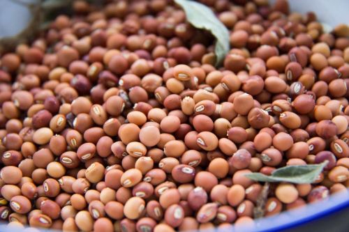 Pigeon peas