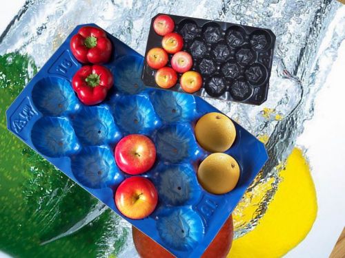 Disposable Plastic Tray 29*39 29*49 39*59 37*57