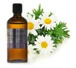 Chamomile Essential Oil