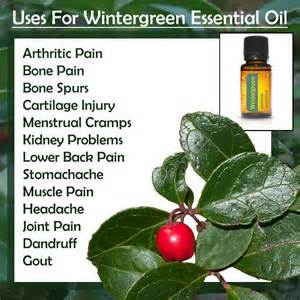 Wintergreen Essential Oil