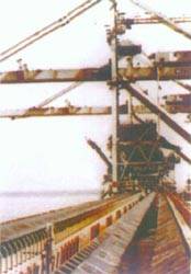 Oil Resistant Conveyor Belt, Packaging Type : black