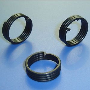 Volute Spring