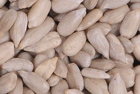 Sunflower Seed Kernels