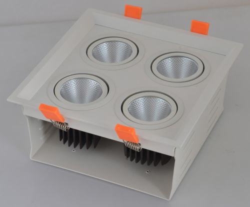 4 Heads Narrow Angle Ceiling Light