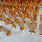 Polished & Anodizing Service