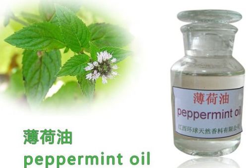 Peppermint Oil, Application : Pharmaceutical