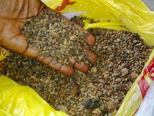 Voacanga Africana Seeds, Packaging Type : Brown