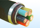 PVC Insulated Power Cables With Rated Voltage Of 1kv and 3kv
