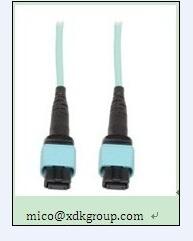 Mpo Patch Cable