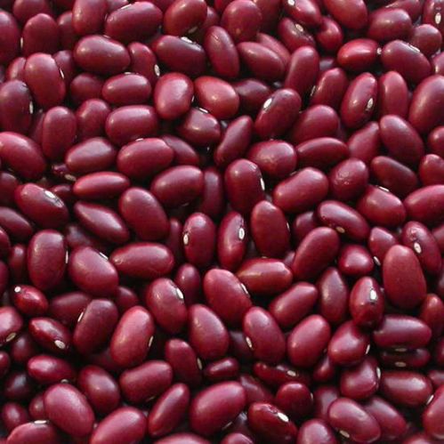 Dried Dark Red Kidney Bean