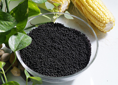 Humic Acid