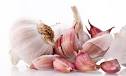 Fresh garlic, Country of Origin : India