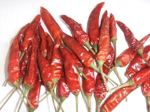 Dried chilli