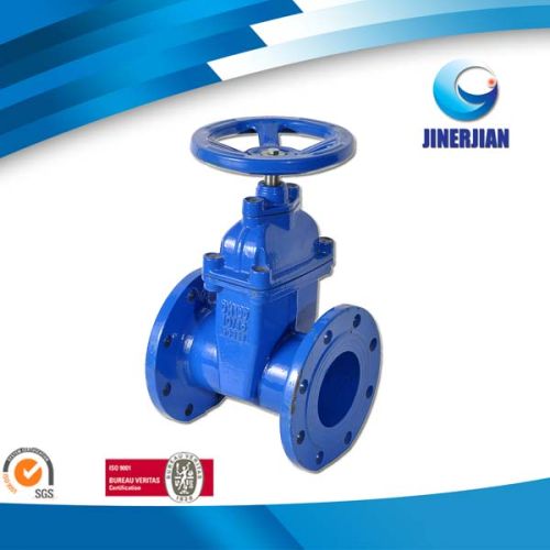 Cast Iron Din Rising Stem Gate Valve