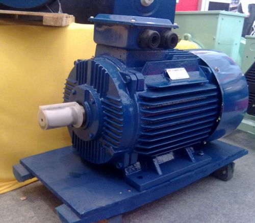 Three Phase Induction Motor