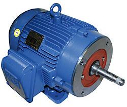 Weg Close-coupled Pump Motors