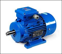 Western Standard Iec Aluminium Motors