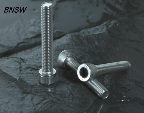 Stainless Socket Set Screws