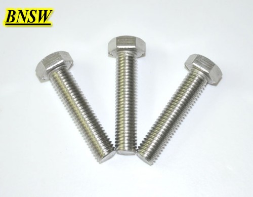 Stainless Steel Hexagon Bolts