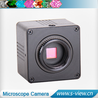Digital Microscope Camera