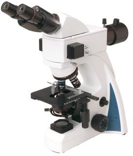 Fluorescent Microscope
