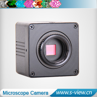 USB Microscope Camera