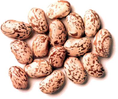 Pinto beans
