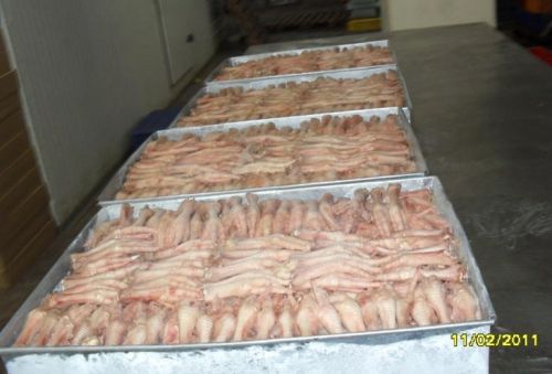 Frozen chicken feet, Part : Feet