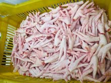 Frozen Chicken Paws, Brand Name : PP