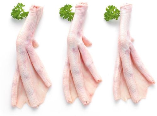 Frozen Duck Feet, Brand Name : PP, Certification : ISO