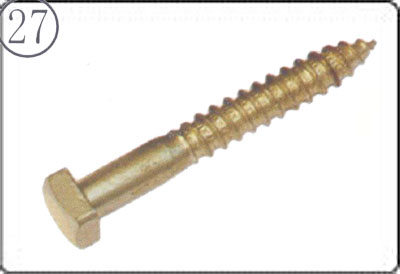 Lag Screw