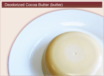 Deodorized Cocoa Butter