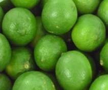 Lemon, Variety : Citrus Aurantifolia (Indian Lime)