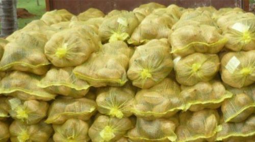 Fresh coconut, Available Grades : A Grade