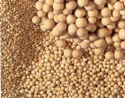 Molecular Sieves - (competitive Price)
