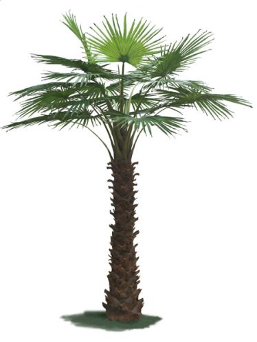 Artificial Palm Tree