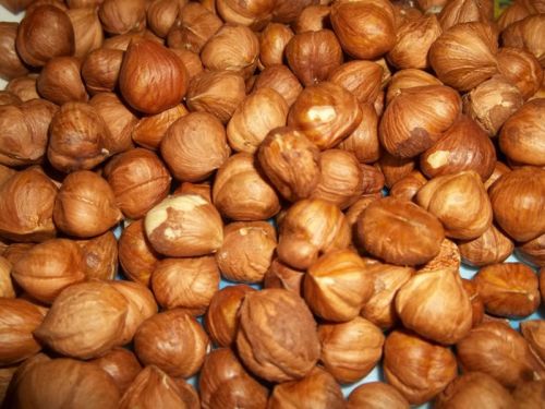 Raw Hazelnut