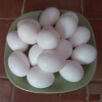 Fresh Chicken Table Eggs