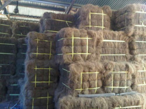 Coco Fiber