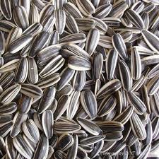 Sunflower seeds